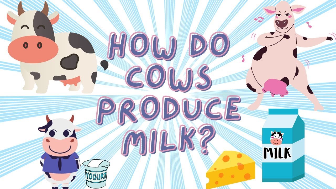 How Do Cows Produce Milk Educational Videos For Kids YouTube How Do Cows Produce Milk Educational Videos For Kids YouTube