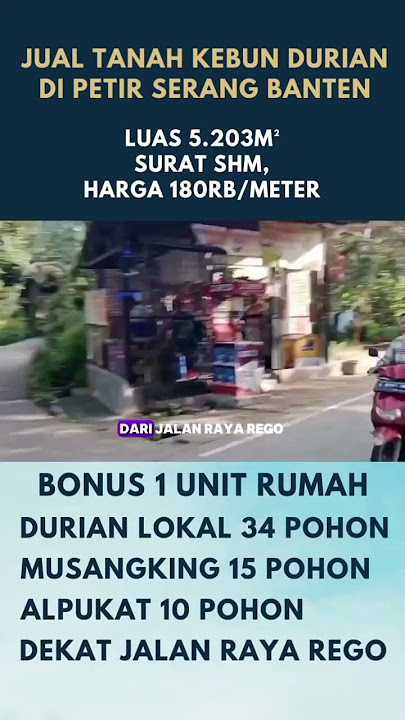 JUAL TANAH KEBUN DURIAN DI PETIR SERANG BANTEN