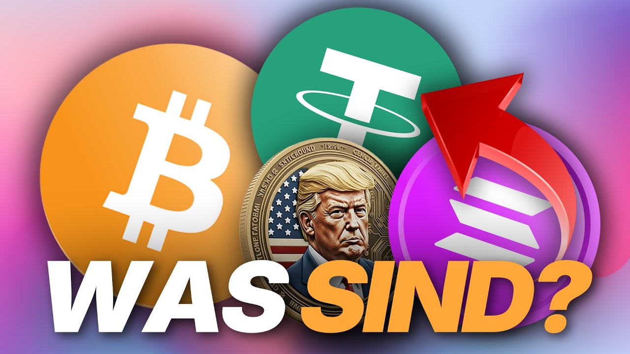 Bitcoin, Altcoins, Stablecoins & Memecoins einfach erklärt!