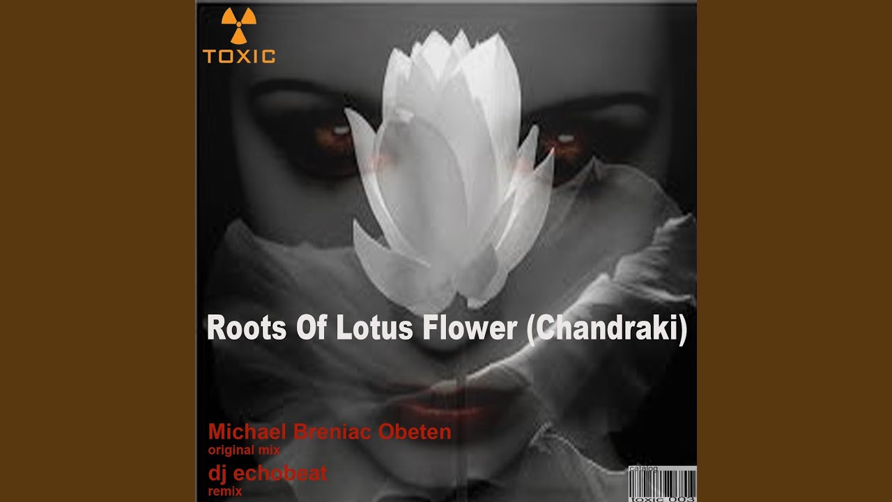 Roots of Lotus Flower (Remix) YouTube