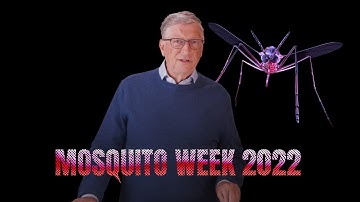 Why we need more innovation to end malaria