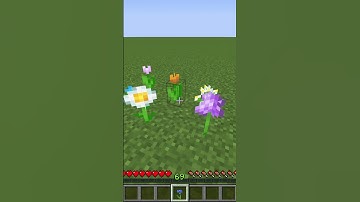 How to Dye Sheep in Minecraft