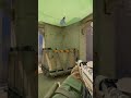 Ecoed! #csgo #cs2highlights #counterstrike #cs2