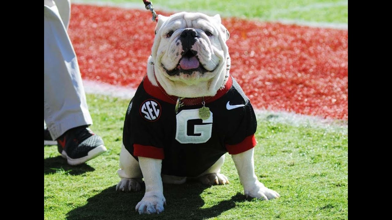 Ranking The 10 Best Mascots in College Football - YouTube