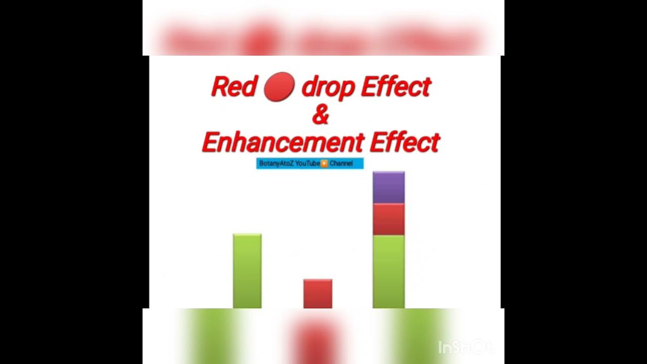 Red Drop And Emerson's Enhancement Effect. What is Red drop & Enhancement Effect in
