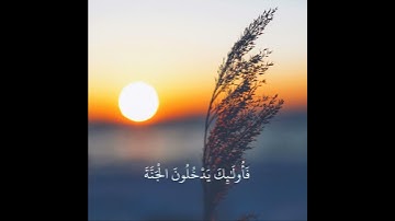 من اروع التلاوات الخاشعة / القارئ شريف مصطفى (فَخَلَفَ مِنْ بَعْدِهِمْ خَلْفٌ أَضَاعُوا الصَّلَاةَ)