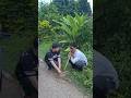 นักต้มตุ๋น #ตลก #คลายเครียด #ขำๆ #funny #tiktok #shorts