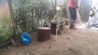 Esqueleto En Mi Casa Antiwa