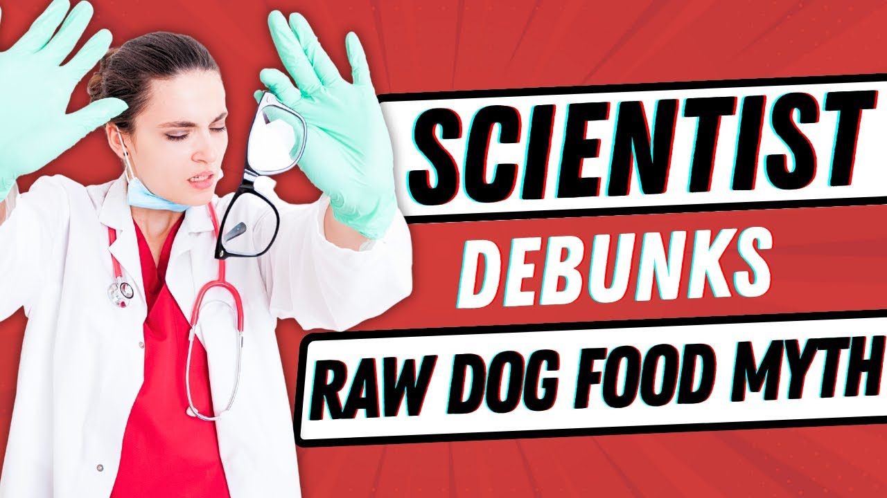 The FINAL Say on Raw Dog Food from Veterinary Scientist YouTube