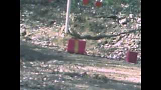 3lbs tannerite vs cooler