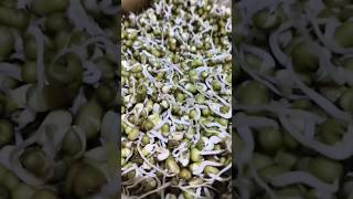 secret of sprout 🌱#health#benefits👍