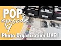 Photo Organization LIVE with Craft Some Joy: Progress on Projects, Episode 9
