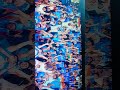 we win world cup third time yippiiiiiiiiiiii