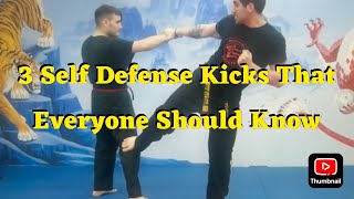 3 (Basic) Self Defense KICKS That Everyone Should Know! #taekwondo