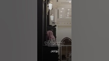 أتى أمر الله فلا تستعجلوه | سورة النحل | تلاوة مرئية | الشيخ عبدالله الموسى