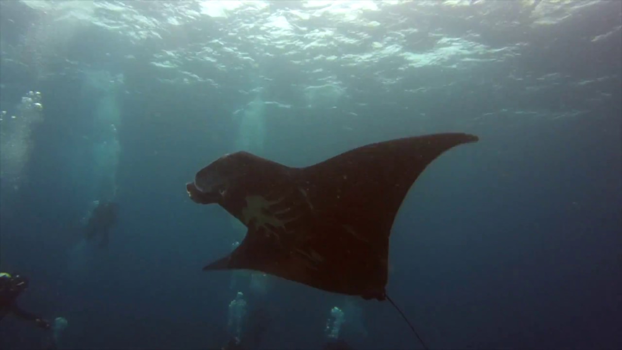 Crossing trip from Raja Ampat to Triton Bay