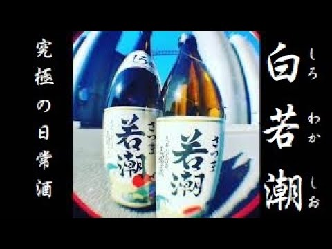 究極の日常酒 さつま白若潮 (シロワカシオ) サイコーーー＼(^o^)／　若潮酒造株式会社 本格焼酎 芋焼酎 焼酎 志燦蔵 (シサングラ)