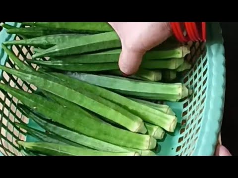 इस तरह से बनाएंगे तो सब अकेले खा जाएंगे #food #recipe