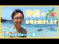 【沖縄の自宅】沖縄での生活をご紹介