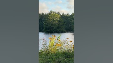 قران كريم ( أأتخذ من دونه آلهة إن يردن الرحمن بضر لا تغن عني شفاعتهم شيئا ولا ينقذون )