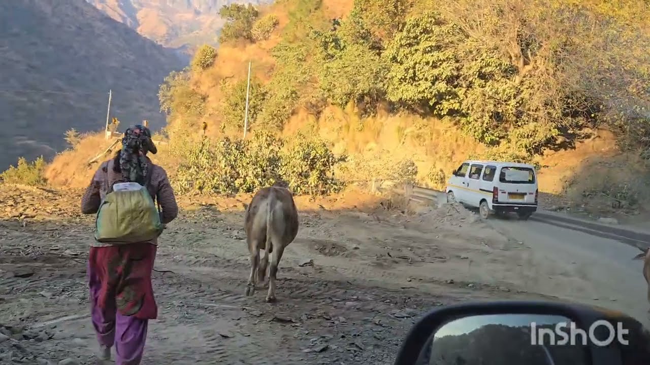 Travelling to Kedarkantha summit