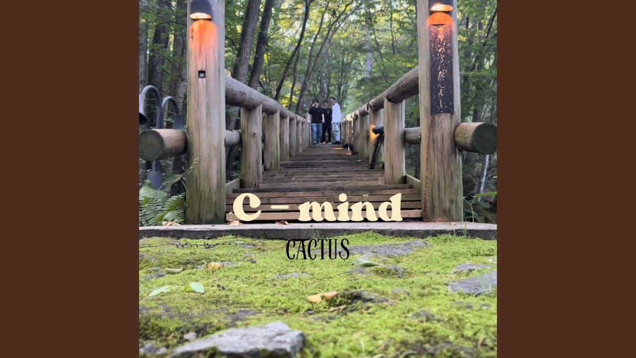 Guarda C - mind su YouTube Guarda C - mind su YouTube