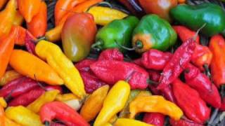 Perou Agence de Voyage Francophone