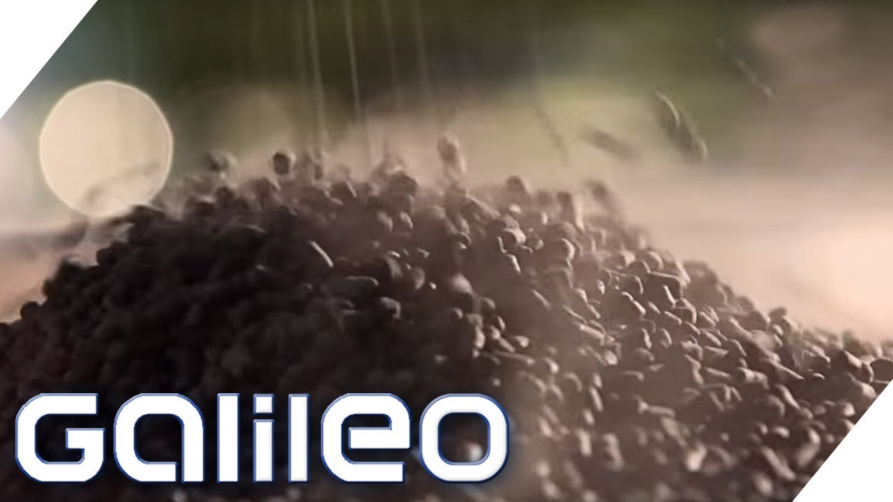 Aktivkohle - Ist sie das neue Gesundheits-Wundermittel? | Galileo | ProSieben