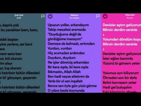 TIKTOK SPOTIFY LYRICS AKIMI #9