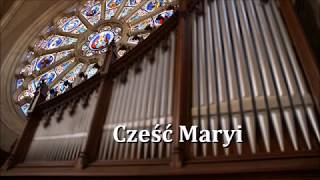 Miniatura del video "Cześć Maryi"