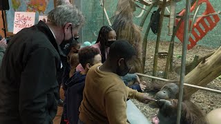 Check out the "Future Healers Got Zoo Buddies" program