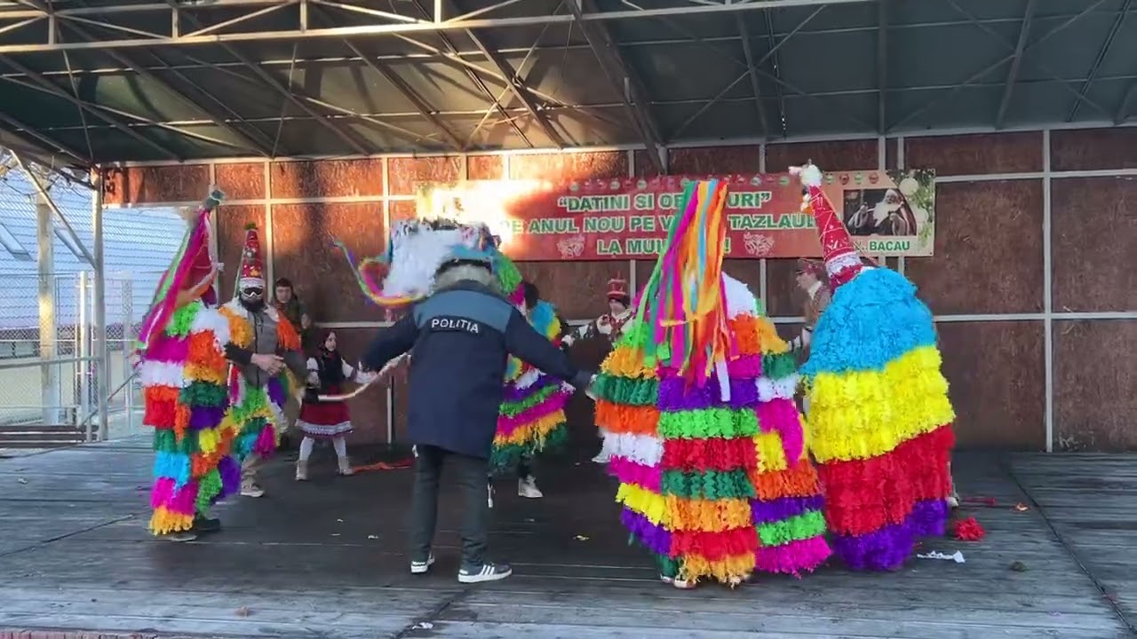 Capra de la prăjoaia 2024 / 2025