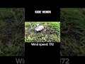 Custom tornado interceptor test