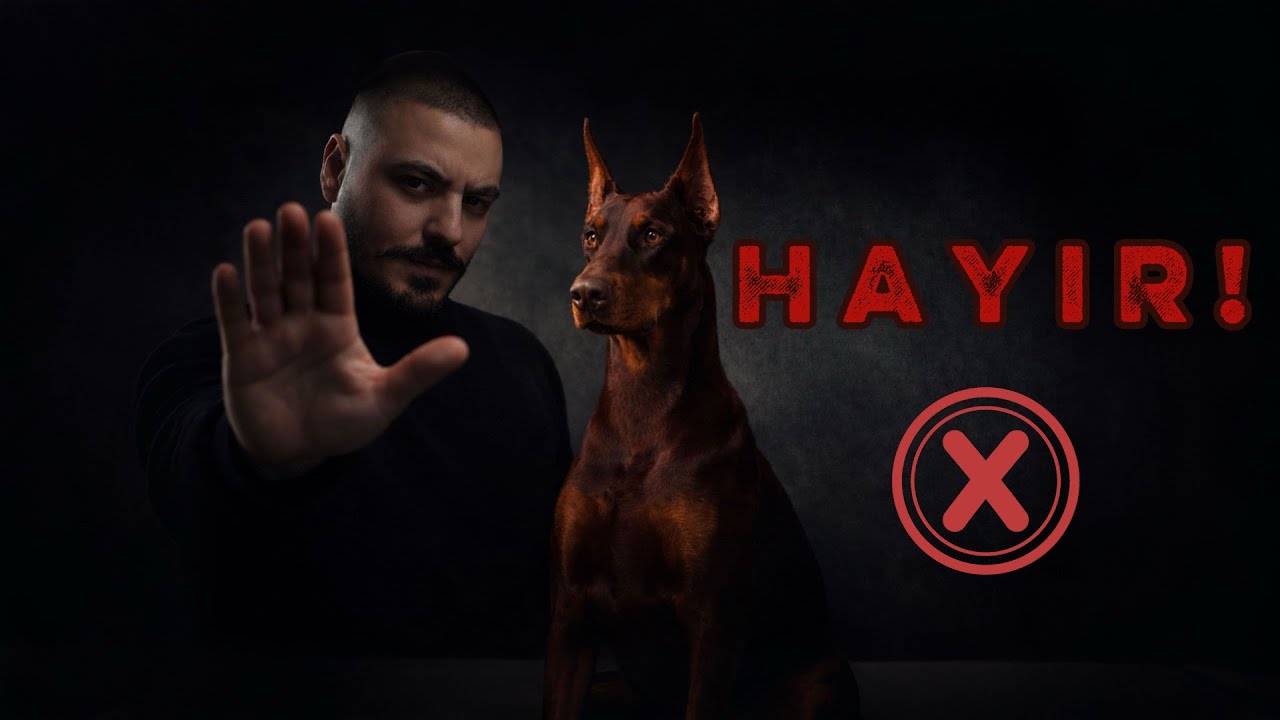 Pablo ile “Hayır” Komutu çalışıyoruz | Birlikte Öğreniyoruz !