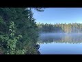 Morning Wolf Howl in Algonquin Park ๐บ