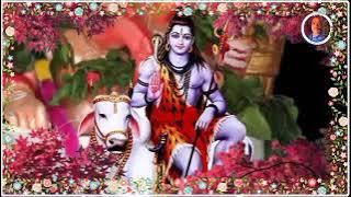 annanna rajanna anna rajanna vemulavadalo sri rajrajeshwara Swamy WhatsApp status video song2021