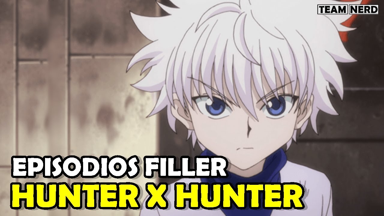 Por que assistir Hunter x Hunter ?