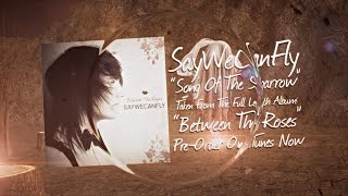 "Song of The Sparrow" (Official Lyric Video) - SayWeCanFly chords