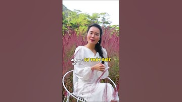 Đây là chìa khoá giúp bạn hạnh phúc không giới hạn | Phần 1