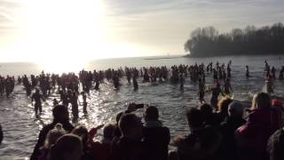 (Start) Nieuwjaarsduik 1 Jan 2016 Hoorn.