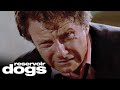 Mr. Orange Tells Mr. White The Truth - He's A Cop | Reservoir Dogs