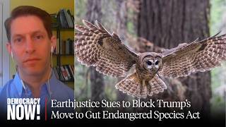 Earthjustice Sues to Block Trump's Move to Gut Endangered Species Act