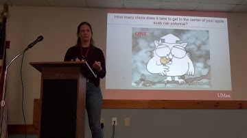 Decision Support Systems in the Northeast; An Analysis of Apple Scab Model Performance