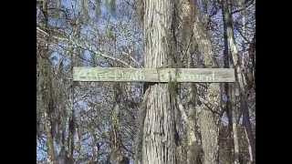 Little Pee Dee River Kayaking - Horry County, South Carolina