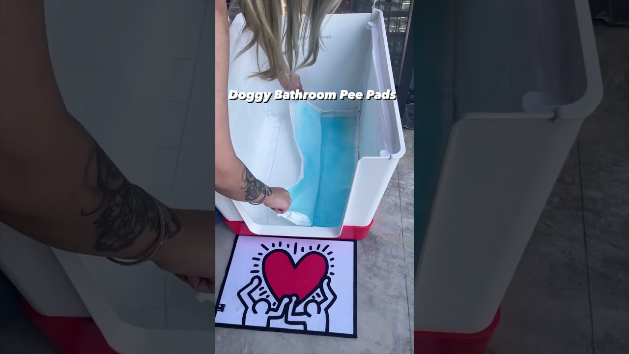 Comparing the Doggy Bathroom pee pads to generic brand pee pads!!!