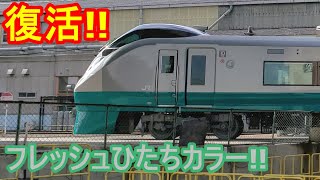 [速報]E657系がフレッシュひたち塗装に！[復活!!]
