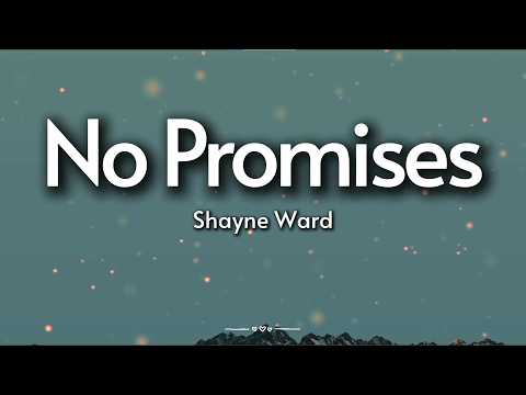 Shayne Ward – No Promises (Lyrics) | Afraid to Lose You