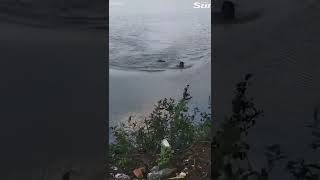 Famous Heart-stopping moment swimmer faces race for his Wealth