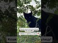 Пишите по ссылке в шапке профиля Пишите по ссылке в шапке профиля