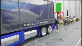 10 Animals ride Sharks truck toys play 10마리 동물 상어 트럭에 타기 장난감 놀이